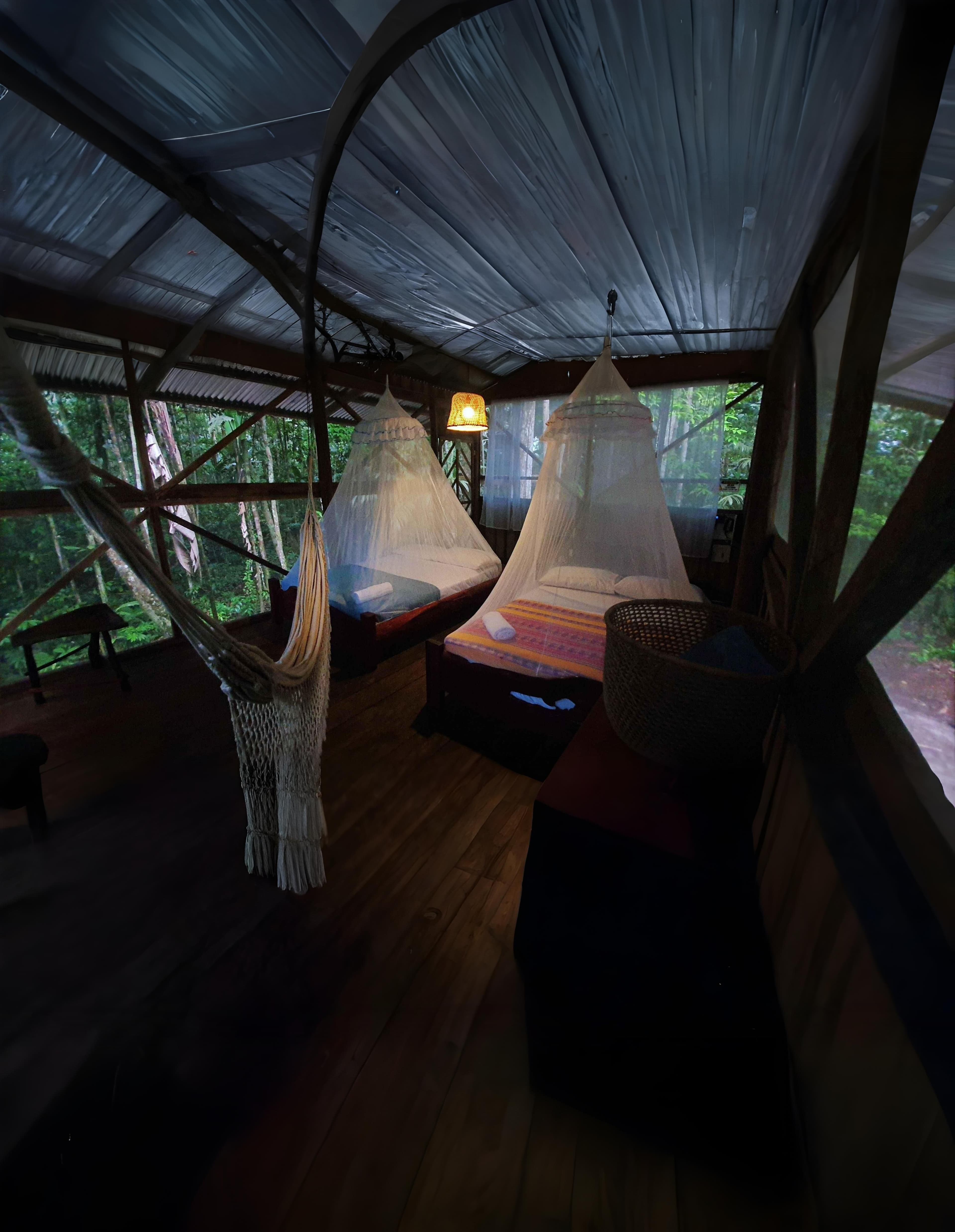 Amazon rainforest background at Reserva Iku