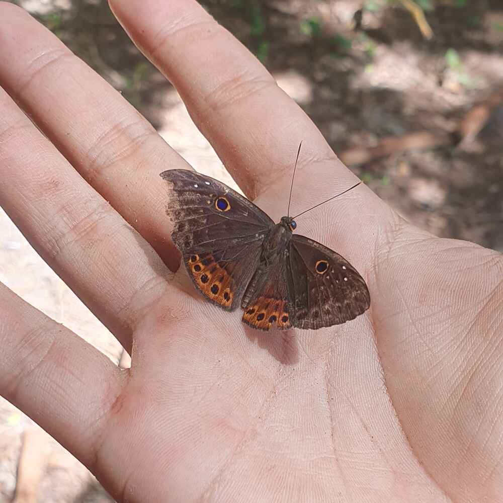 Reserva Iku Amazon - Gallery Image 1